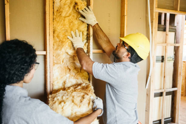 Best Insulation Replacement Services  in Litchfield Beach, SC