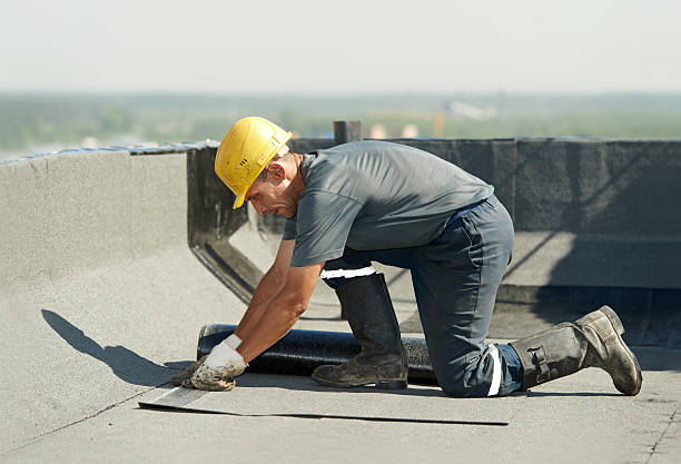 Best Professional Insulation Contractor  in Litchfield Beach, SC