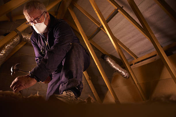 Best Affordable Insulation Services  in Litchfield Beach, SC